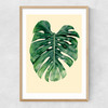 Monstera Leaf by Rafael Farias Narrow Oak Frame