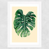 Monstera Leaf by Rafael Farias Wide White Frame