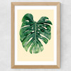 Monstera Leaf by Rafael Farias Wide Oak Frame