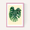 Monstera Leaf by Rafael Farias