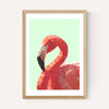 Geometric Flamingo