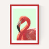 Geometric Flamingo