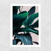 Leaves IV Unframed Print