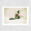 Walking Shadows: Turtles Narrow White Frame