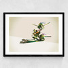 Walking Shadows: Turtles Medium Black Frame