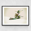 Walking Shadows: Turtles