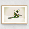 Walking Shadows: Turtles