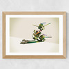 Walking Shadows: Turtles Wide Oak Frame