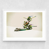 Walking Shadows: Turtles