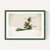 Walking Shadows: Turtles