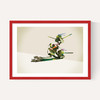 Walking Shadows: Turtles