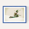 Walking Shadows: Turtles