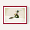 Walking Shadows: Turtles