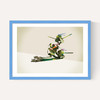 Walking Shadows: Turtles