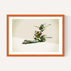 Walking Shadows: Turtles