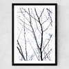 Winter Silhouettes 2 Medium Black Frame