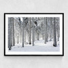 Winter Trees 2 Narrow Black Frame