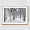 Winter Trees 2 Narrow Oak Frame