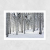 Winter Trees 2