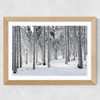 Winter Trees 2 Wide Oak Frame