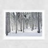 Winter Trees 2