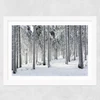 Winter Trees 2 Wide White Frame