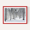 Winter Trees 2