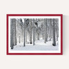 Winter Trees 2