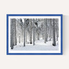 Winter Trees 2