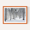 Winter Trees 2