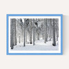 Winter Trees 2