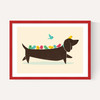 Bird Dog