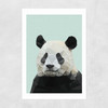 Panda by Studio Cockatoo Unframed Print