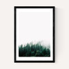 Forest Mist