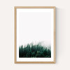 Forest Mist