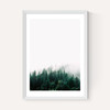 Forest Mist