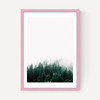 Forest Mist