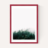 Forest Mist