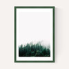 Forest Mist
