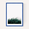 Forest Mist