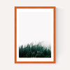 Forest Mist