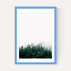 Forest Mist