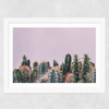 Cactus Garden Wide White Frame