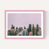 Cactus Garden