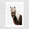 Horse by Rafael Farias Narrow White Frame