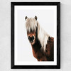 Horse by Rafael Farias Wide Black Frame