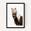 Horse by Rafael Farias