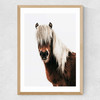 Horse by Rafael Farias Medium Oak Frame