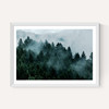 Foggy Hills