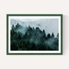 Foggy Hills